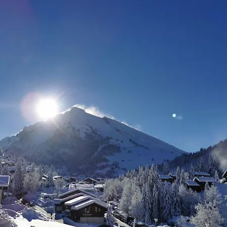 Ciboulette 1 *